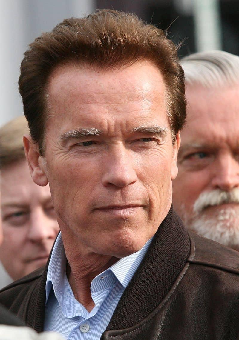 Arnold Schwarzeneggers Hair Transplant  Hair Transplant Info