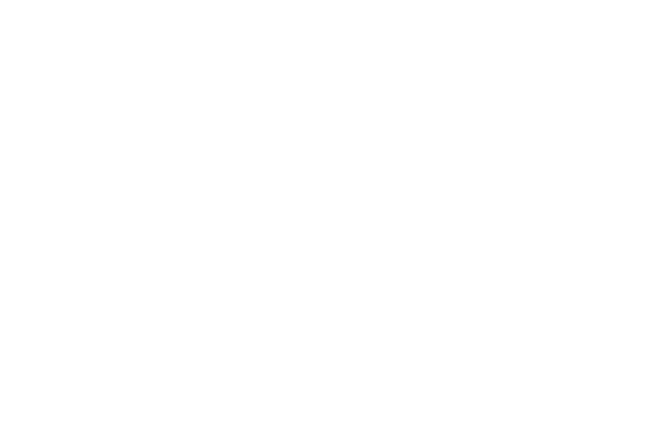 Enterprise Estonia