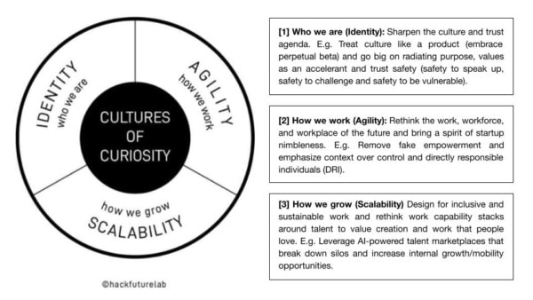 Cultures of Curiosity - Hack Future Lab