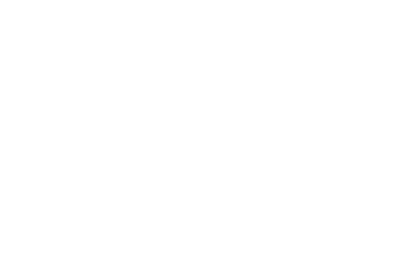 iCleanic