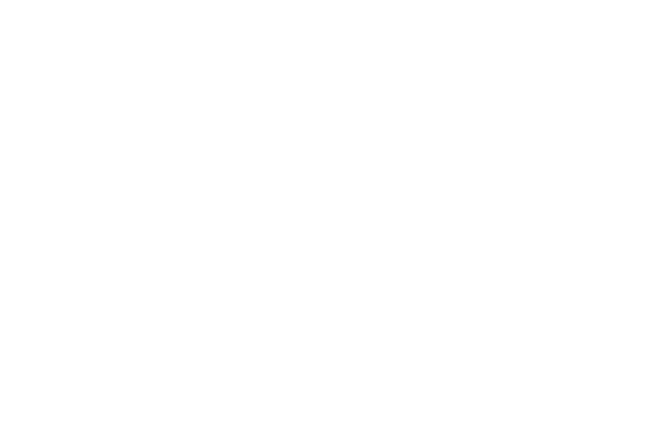 Roschier
